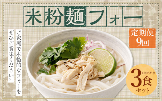 〈【9ヶ月 定期便】米粉麺 フォー 3食 セット（麺のみ +1パック）〉翌月末迄に順次出荷【c1208_fd】 本格 簡単 麺 スープ ライスヌードル