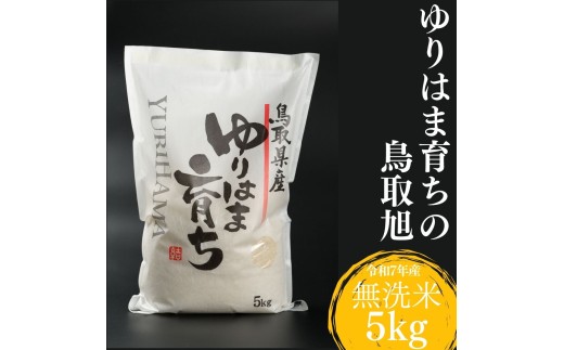 375K.ゆりはま育ちの鳥取旭◇無洗米5kg◇令和7年産