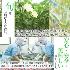 【数量限定】鹿児島県産 冷凍オクラスライス150g×6袋(900g) オクラ 野菜 冷凍 カット カット野菜 国産 簡単 手軽 サラダ 味噌汁 スープ a0-118