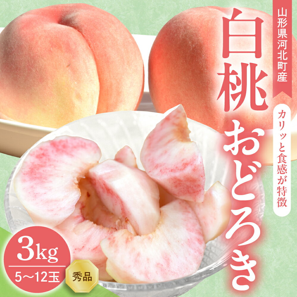 【ふるさと納税】【令和7年産】 白桃 おどろき 3kg ( 5～12玉前後 ) ギフト用 山形県河北町産 【山形eLab】/ 桃 モモ もも フルーツ 果物 くだもの お取り寄せ グルメ 産地直送 山形県 河北町