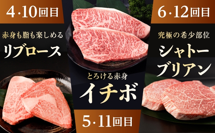 サーロイン リブロース イチボ  ランプ ヒレ シャトーブリアン 希少部位 A5 肉 牛肉 ステーキ 焼肉 和牛 赤身ステーキ