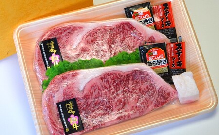 博多和牛 ロースステーキ A5〜A4 ソース付 博多和牛【200g×2枚 計400g】