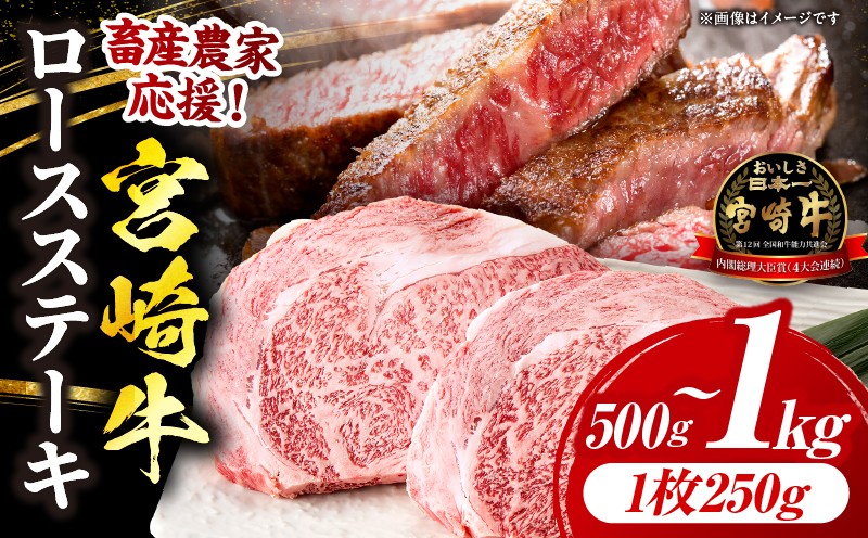 
                  【畜産農家応援】宮崎牛 ロースステーキ 2枚or4枚 合計500g～1kg
                