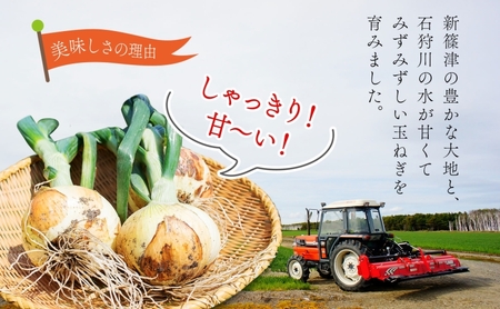 北海道 新しのつ産 玉ねぎ Lサイズ 約5kg オホーツク222 北もみじ2000 玉葱 たまねぎ オニオン 旬 スープ サラダ 農作物 野菜 冬野菜 根菜 常温 カレー 肉じゃが 大きい 5キロ 国