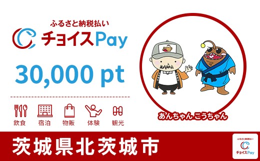 
            北茨城市チョイスPay 30,000pt【会員限定のお礼の品】
          