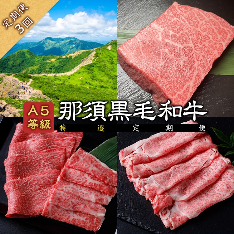 《定期便3回》A5等級 那須黒毛和牛 特選定期便 ステーキ 焼肉セット〔G-28〕| 牛肉 国産 赤身 那須和牛 黒毛和牛 那須黒毛和牛 とちぎ和牛 栃木和牛 ブランド牛 A5 すき焼き しゃぶしゃぶ 焼肉 ステーキ 夜ご飯 夜ごはん 晩ご飯 晩ごはん お取り寄せグルメ お中元 御中元 お歳暮 贈答 贈り物 ギフト プレゼント 母の日 父の日 敬老の日 記念日 誕生日 お祝い 定期便 栃木県 那須町