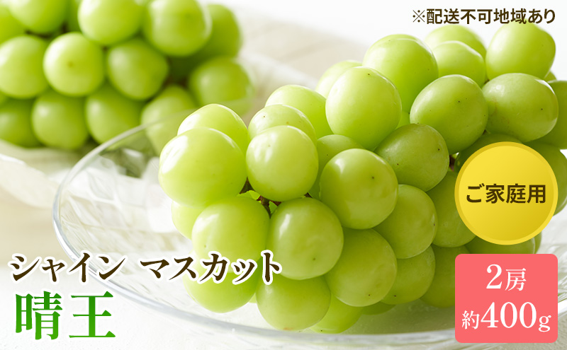 ぶどう 2026年 先行予約 ご家庭用 シャイン マスカット 晴王 約400g×2房 ブドウ 葡萄  岡山県産 国産 フルーツ 果物 太陽 美しい 外観 大粒 高糖度 種なし 皮ごと 弾力 食感 美味しい 