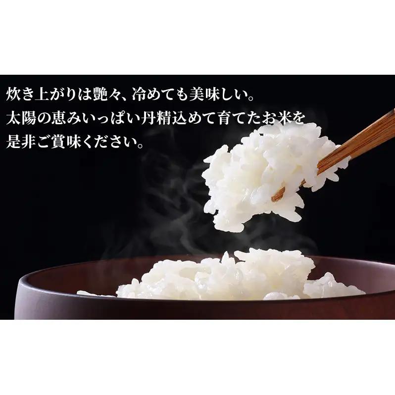 淡路島産 あいはら米 キヌムスメ 5kg お米 白米 ブランド米 兵庫県 洲本市 淡路島