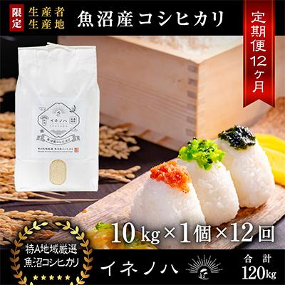 ふるさと納税 十日町市 【毎月定期便】魚沼産コシヒカリ「イネノハ」精米(10kg×1個)×12回【合計120kg】全12回