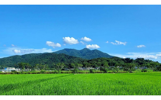 花の井 飲み比べセット 飲み比べ 酒 お酒 日本酒 茨城県[AD005sa]