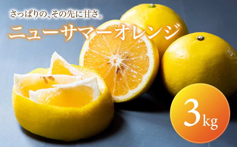 
                  【選ぶならこれ】 初夏の爽快感 【ニューサマーオレンジ】 3kg 愛媛県産 【2027年4月中旬頃から順次発送】 | みかん ミカン mikan 蜜柑 訳ありフルーツ 柑橘 果物 おすすめ お勧め お取り寄せ ギフト 愛媛県 松山市
                