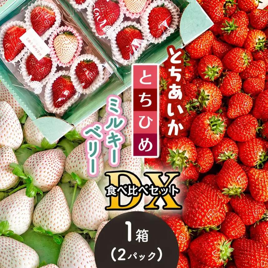  【2026年12月以降発送】とちあいか・とちひめ・ミルキーベリー食べ比べセット DX