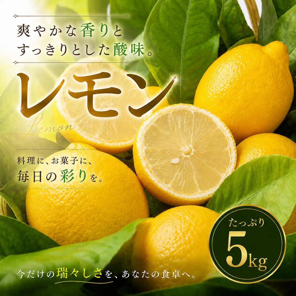 イエロー レモン 家庭用 5kg 【2027年1月中旬頃から順次発送】 | れもん レモン lemon 檸檬 訳あり フルーツ 柑橘 果物 おすすめ お勧め お取り寄せ ギフト 愛媛県 松山市 【MKN052】
