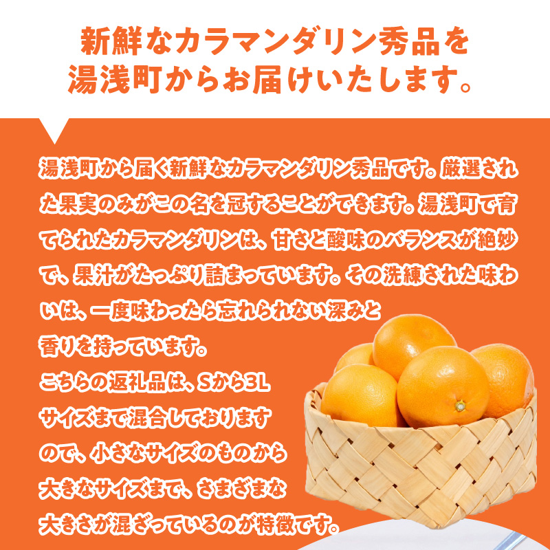 ZE6500_【2026年先行予約】和歌山県産 カラマンダリン 3kg 秀品