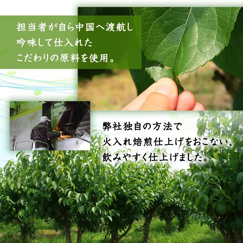 「全6回定期便」杜仲茶(24P×6本セット )×6回  2ヶ月に1回お届け