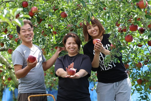 
                  りんごのスパークリングワイン　シードル赤来　750ml×３本【お酒 リンゴ スパークリングワイン ワイン すっきり 辛口 ギフト 島根県 飯南町Ｅ-3 】
                