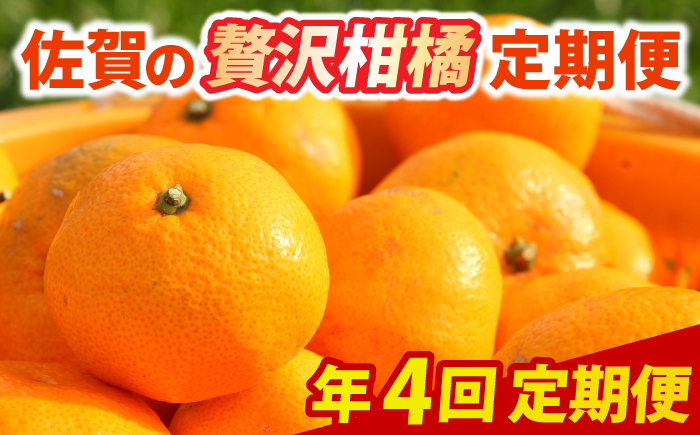 【全4回定期便】佐賀の贅沢柑橘定期便 / フルーツ / 佐賀県 / 佐嘉ZEYTAKUYA [41AQAA044]