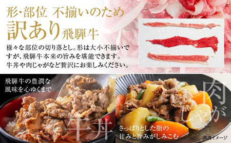 【定期便】全6回 飛騨牛 切り落とし | 訳あり 肉 お肉 切り落とし 薄切り すき焼き すきやき 黒毛和牛 和牛 牛肉  飛騨高山ミート MZ111