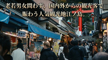 たこせんべい 5袋 (1枚入)  あさひ本店 セット せんべい 江ノ島 