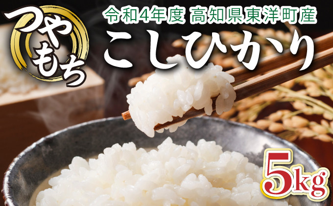 
            令和6年産 コシヒカリ 5kg　米 こしひかり 白米 こめ コメ 人気 精米　S137
          