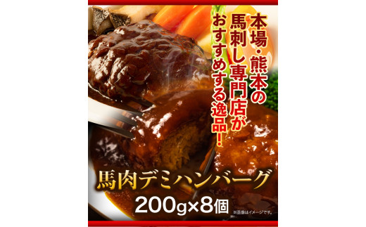 馬肉デミハンバーグ 200g×8個 計1.6kg 千興ファーム 馬肉  《60日以内に出荷予定(土日祝除く)》---sm_fsendemihan_60d_23_13500_8s---