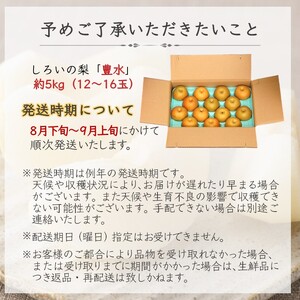 【予約受付】しろいの梨 豊水 5kg 12～16玉 しろいの梨