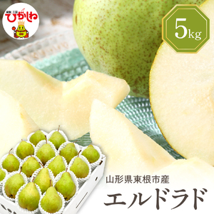 【令和7年産 先行予約】西洋梨エルドラド5kg　秀品　化粧箱入り 山形県 東根市 東根農産センター提供 hi027-197-1 エルドラド 洋梨 洋ナシ フルーツ 果物 くだもの 化粧箱 産地直送 期間限定 特産品 お取り寄せ グルメ 旬 秋 東北 山形県 東根市 送料無料