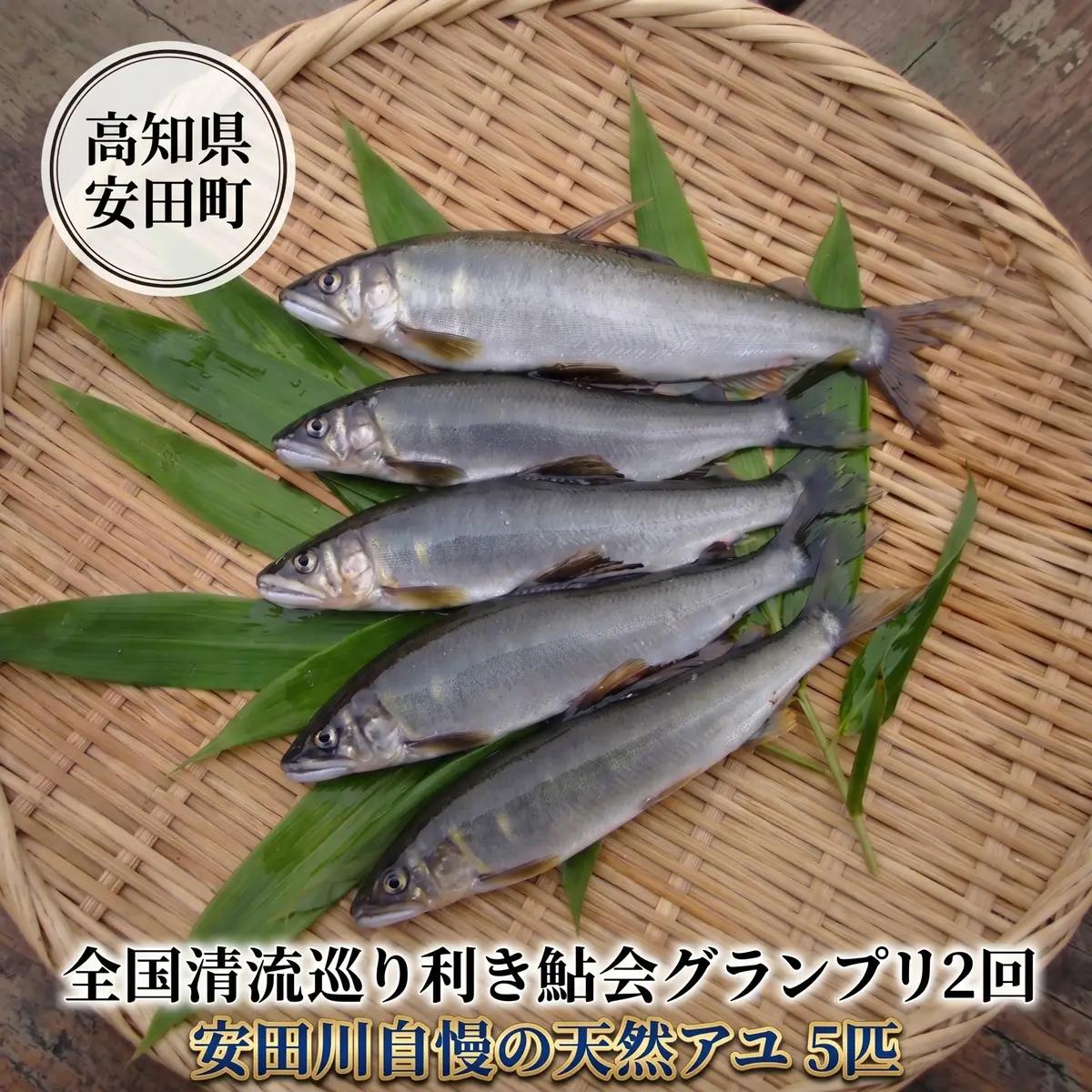 グランプリ2回!  安田川の清流で採れた天然鮎 グランプリ受賞 天然 鮎 5匹 数量限定 AJ-0001