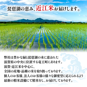 令和6年産 新米 白米 10kg にじのきらめき 5kg × 2袋 精米 近江米 ニジノキラメキ 国産 お米 米 おこめ ごはん ご飯 白飯 しろめし こめ ゴハン 御飯 滋賀県産 竜王 ふるさと ラ