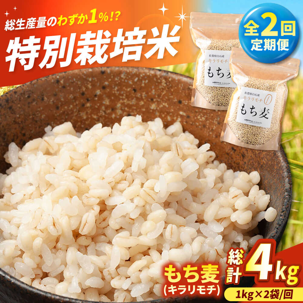 【ふるさと納税】【全2回定期便】 もち麦（キラリモチ）計4kg（2kg×2回） 【有限会社定松ファーム】 もち麦 麦 もちむぎ キラリモチ ご飯 ごはん 米 5kg ふるさと納税 佐賀県 白石町 定期便 [IBV008]