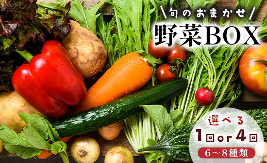 
            京都 舞鶴 季節の野菜BOX 詰め合せ セット 6～8種類 選べる回数 1回 / 4回（定期便） ： 季節の野菜 旬の野菜 旬野菜 新鮮 京野菜 食品 冷蔵 八百屋 厳選 産地直送 やさい ベジタブル ボックス 野菜セット
          