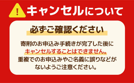 【毎月定期便】【A4～A5】博多和牛サーロインステーキセット　1kg 全3回　AO077