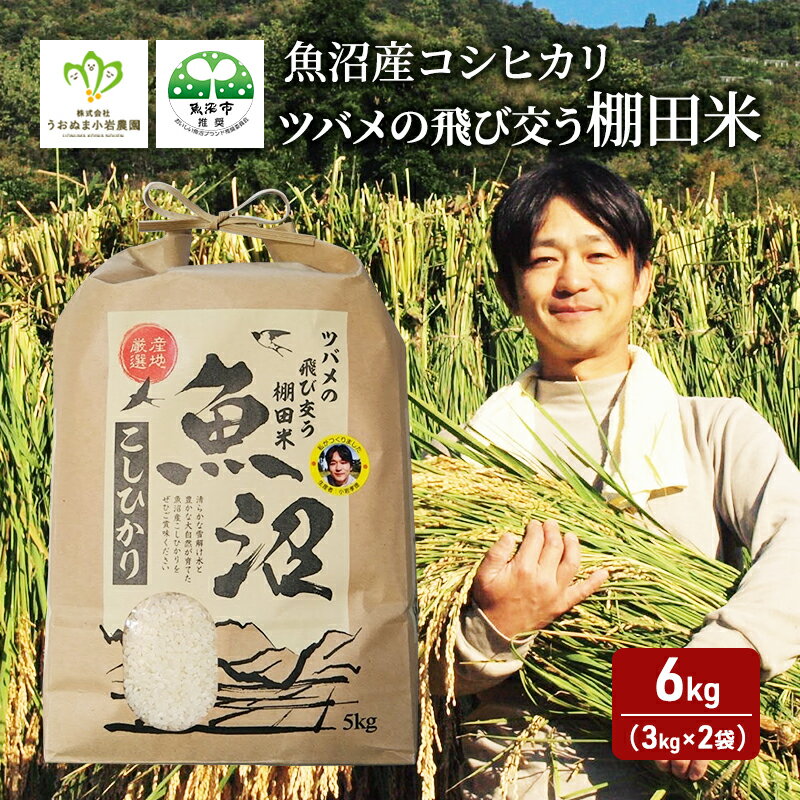 【ふるさと納税】【令和7年産　新米先行受付】ツバメの飛び交う棚田米 精米6kg（3kg×2袋） 米 こめ お米 コメ こしひかり コシヒカリ 精米 新潟県 魚沼市 魚沼　お届け：2025年9月下旬より順次出荷いたします。