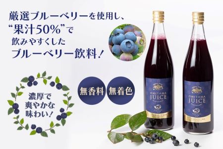 果汁50％ブルーベリー飲料2本セット ブルーベリー ブルーベリー飲料 フルーツ 果物 フルーツジュース ジュース ビタミンE アントシアニン 栄養 目にいい 健康 美容 瞳の健康 ギフト 贈り物 茨城
