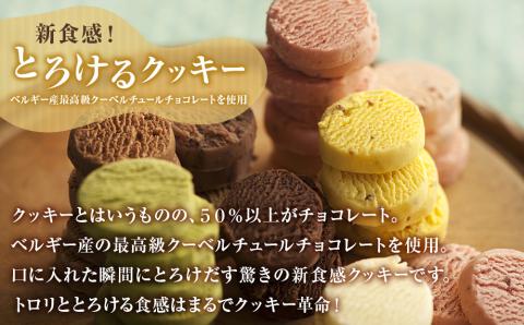 アルパジョン とろける クッキー 12袋 & クマの手シューラスク プレミアム チョコレート 6個