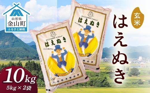 
                  令和7年産 金山産米 はえぬき【玄米】（5kg×2袋） 計10kg 米 お米 ご飯 玄米 ブランド米 送料無料 東北 山形 金山町 F4B-0829
                