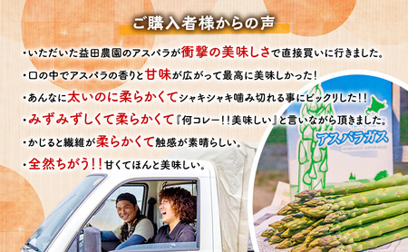 【数量限定・2027年4月～発送】富良野 益田農園産 極太 グリーンアスパラガス ≪M～3L混合≫ 約1kg アスパラ 北海道 富良野市 緑アスパラ 野菜 とれたて 朝採り 限定 数量限定 (益田農園