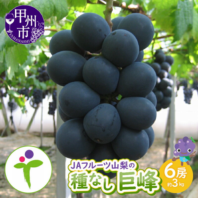 【ふるさと納税】 巨峰 種なし 6房 果物 くだもの フルーツ 葡萄 ぶどう ブドウ 甘い 大きい 人気 JAフルーツ山梨 甲州市 美味しい 新鮮 約3kg 令和7年 2025年発送 山梨県 甲州市 【100】 【C-107】