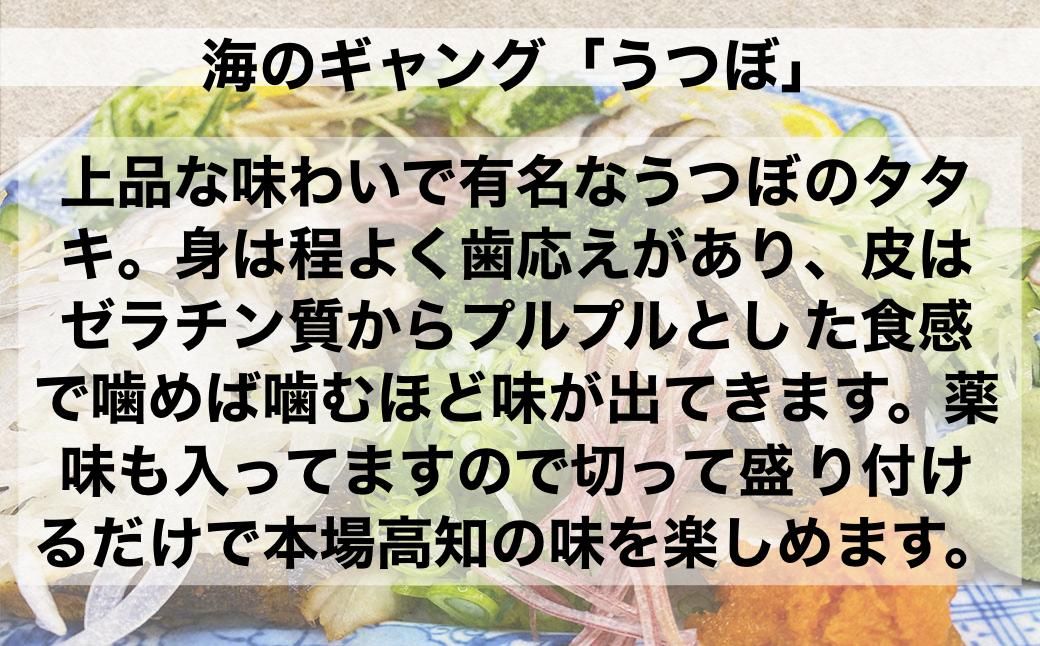 ≪ヤマシン≫ 土佐のウツボのタタキ 　たたき うつぼ 魚 海鮮 250g～300g コラーゲン 特製タレ付き 珍味 お取り寄せグルメ お祝い 冷蔵