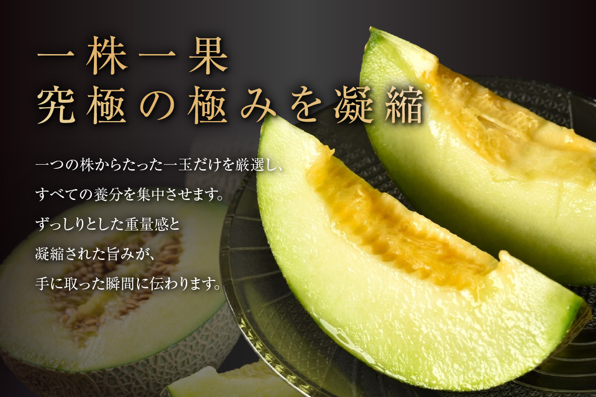 【先行予約】養液栽培メロン「璻」1玉【Special】（糖度14度以上、重さ1.3㎏以上）【熨斗対応可能】│メロン めろん 果物 フルーツ 高級 旬 お取り寄せ 青肉 ご褒美 グルメ 璻 甘い 愛知県