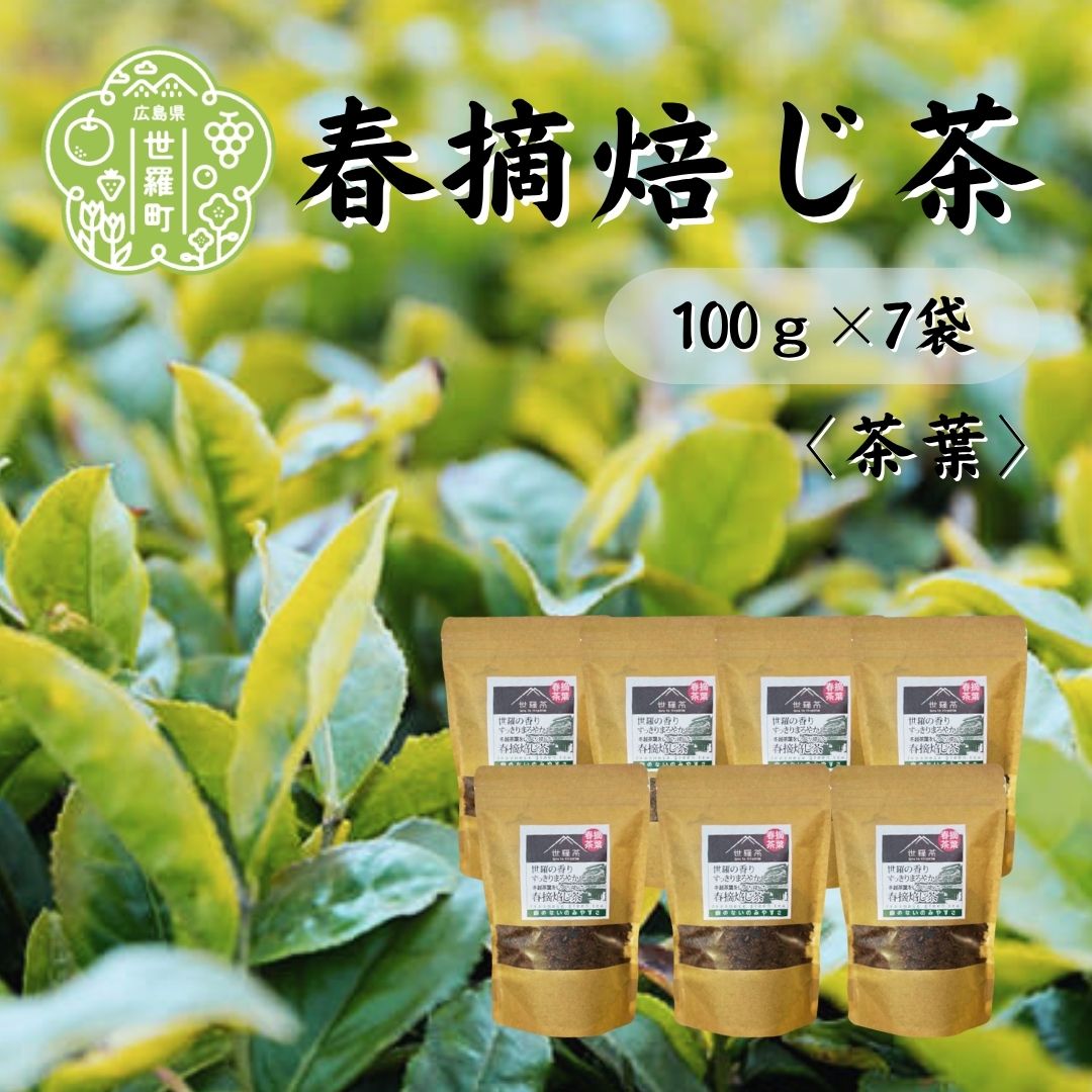 【ふるさと納税】春摘焙じ茶 100g×7袋 世羅茶 ほうじ茶 お茶 茶葉 健康茶 A030-09