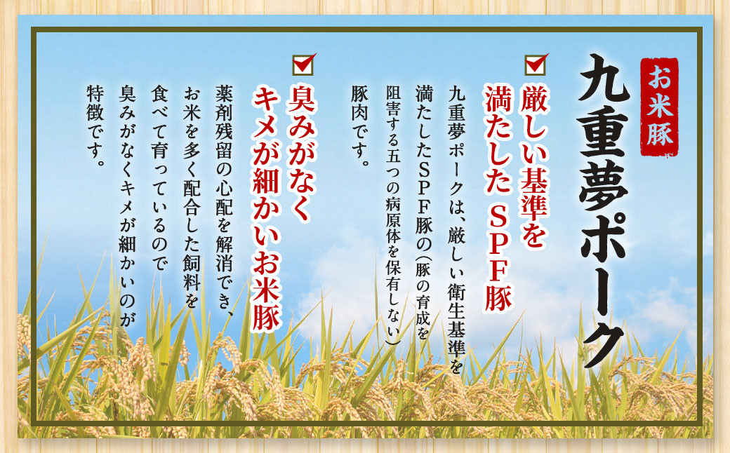 九重 夢ポーク (お米豚) 切り落とし 約5kg (約500g×10パック) 豚肉 豚