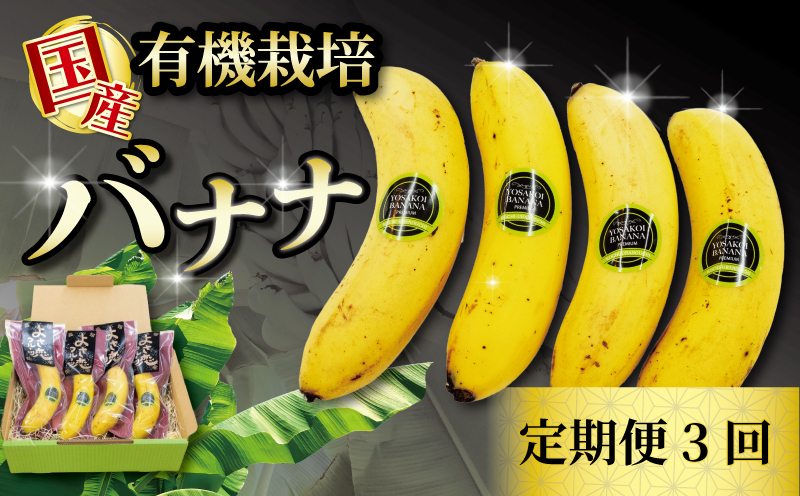 【 毎月3回定期便 】高知初！！　純国産　有機栽培　皮ごと食べられるバナナ 500g 以上 3回　HNT17000