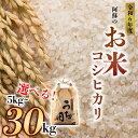 【ふるさと納税】新米 お米 米 コシヒカリ 令和6年 ふるさと納税 令和6年度 選べる 5kg 10kg 20kg 30kg 白米 こめ おこめ 阿蘇米 内田農場 米 お米 美味しい 寒暖差 湧き水 お取り寄せ 食卓 豪華 贅沢 自然 湧水 熊本県 阿蘇市