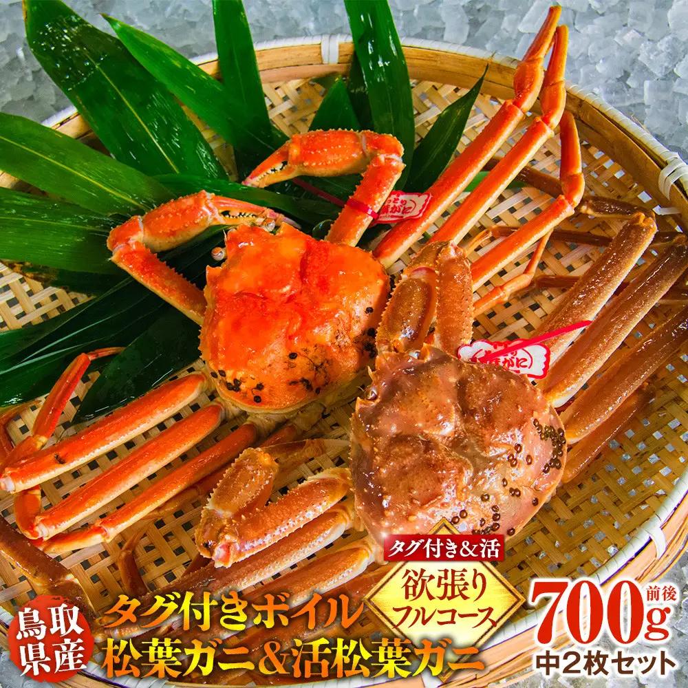鳥取県産　タグ付きボイル松葉ガニと活松葉ガニの欲張りフルコース中2枚セット　(700g前後)  | カニ 松葉ガニ 活 ボイル 美味しさに 訳あり 大容量 　※2026年11月上旬～2027年3月下旬頃に順次発送予定