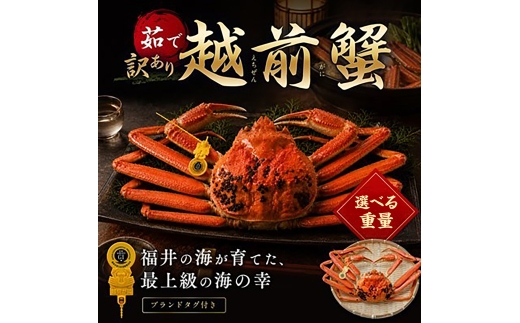 【先行予約/11月18日より順次配送】【訳あり】越前がに 600g×1杯 茹で 福井県産ズワイガニ 脚折れ・欠け / かに カニ 蟹 越前ガニ ズワイガニ ボイル / 小浜市 / 一進わかさ【配送不可地域：北海道・沖縄・離島】 [BFES017]