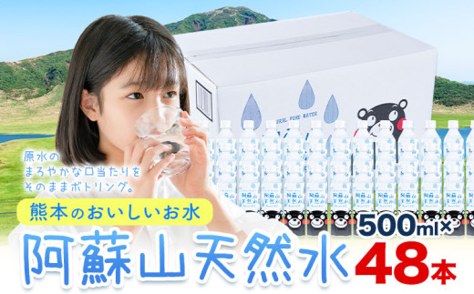 水 熊本 の おいしい お水 阿蘇山 天然水 500ml × 48本 2ケース  丸富産業《30日以内に出荷予定(土日祝除く)》熊本県 御船町 水 天然水 みず 熊本 飲料 熊本県 ミネラルウォーター