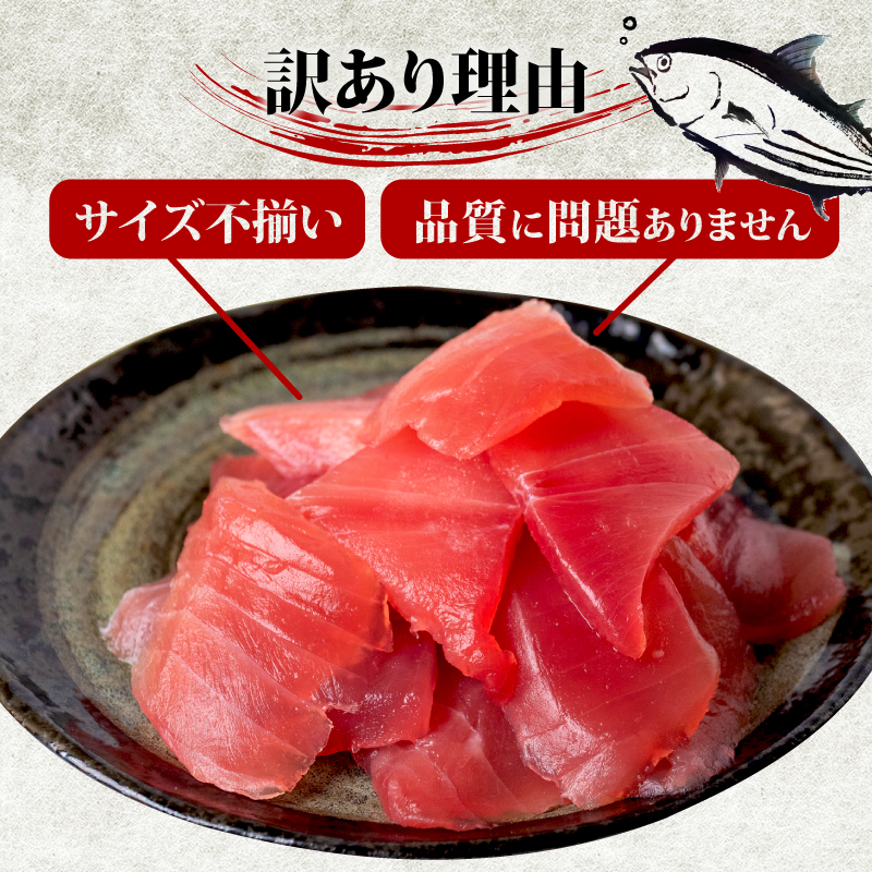 【 訳あり 】 ビンチョウマグロ 切り落とし 1kg（ 100g 10パック ） キハダ マグロ サイズ 不揃い 須崎 高知