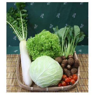 ふるさと納税 芝山町 旬野菜の詰め合わせ　「大地の恵みセット」5〜6種+コシヒカリ2kg【令和6年産】 |  | 01