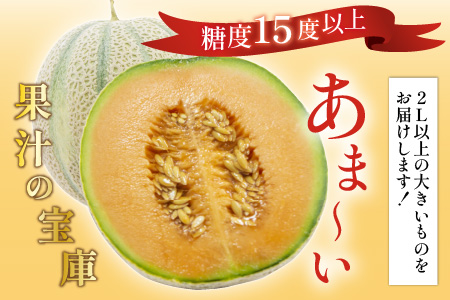 【先行予約】マルセイユメロン 2玉 (2L以上のサイズ) 糖度15度以上 減農薬にこだわった新鮮で安心な川合農園のメロン 【2026年6月中旬以降発送予定】【メロン めろん フルーツ 旬 デザート 果